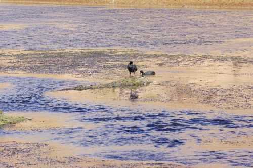 TREKKING NEL DESERTO DI ATACAMA 2015